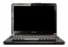 ноутбук Lenovo 59017325 IdeaPad Y330-5 13,3"WXGA, C2D T5800(2,0GHz), 3GB, 320GB, DVDRW, camera, LAN, WiFi, HDMI, VistaHomeBasic