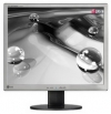 монитор LG 19" L1942P-SF LCD, 1280x1024, 5ms, 300cd/m2, 8000:1, 176°/170°, TCO-03, Silver