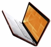 ноутбук Lenovo 59024923 IdeaPad Y450-2A 14,1"WXGA, C2D P7450(2,13GHz), 3GB, 160GB, DVDRW, NV GT130M 512Mb, LAN, WiFi, BT, camera, VistaHomePremium